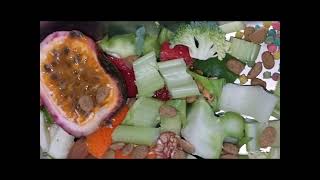 Daily Macaw Feeding Routine