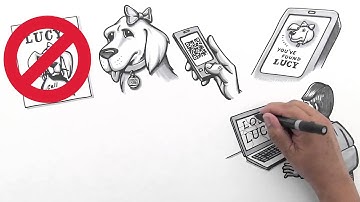 Great Whiteboard Animation Video created for Pet to be found | Ydraw Videos