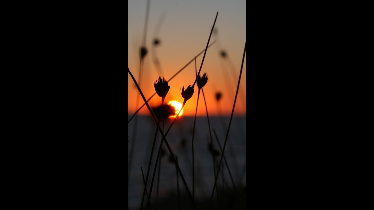 The most amazing SUNSET in the world 