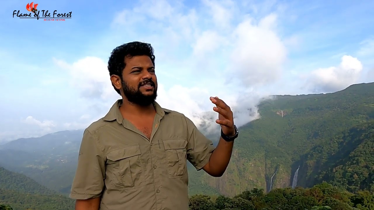 Introduction To The Channel || Flame Of The Forest || Why Flame of The forest ?