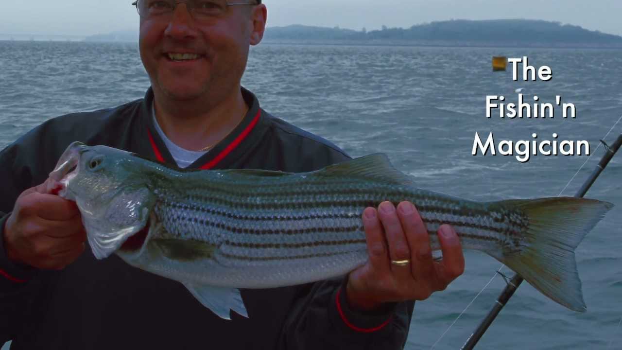 Fishing in Boston Harbor with Reel Pursuit Charters YouTube