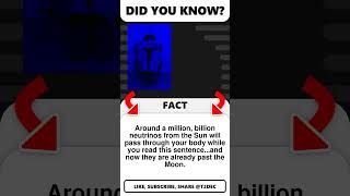 Around A Million, Billion Neutrinos...