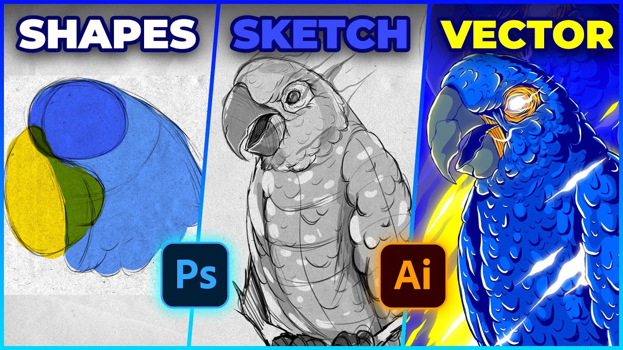 Blue Macaw Illustration Process - Sketching on Photoshop & Coloring on Adobe Illustrator - Speed Art