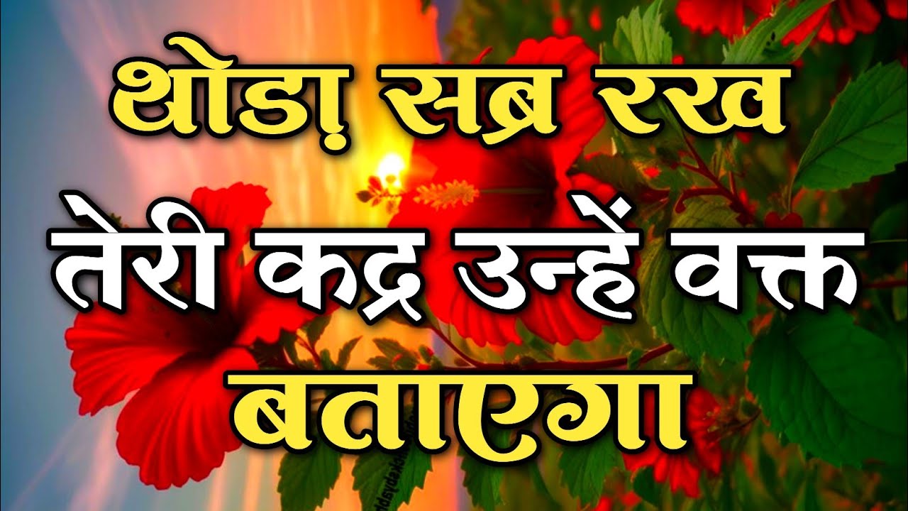 थोड़ा सब्र रख तेरी कद्र उन्हें वक्त बताएगा || #motivationquotes || #preciousqoutes 