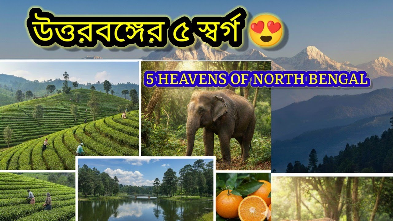 উত্তরবঙ্গের ৫ স্বর্গ 😍5 HEAVENS OF NORTH BENGAL|
