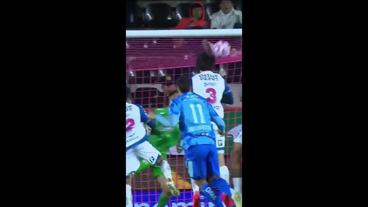 MINI RESUMEN: 🐹Pachuca ⚽1-2⚽⚽  🐯 Tigres | Liga MX Jornada 14