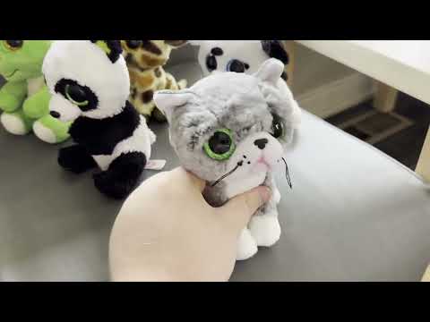 The Beanie Boos Show: A Trip to the Family Dentistry - Opening Scene