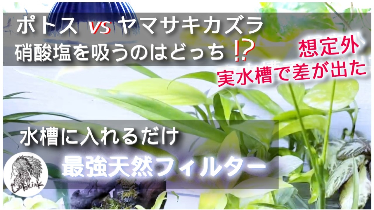 三州みやび鉢 Trashオリジナル鉢販売します！ - YouTube