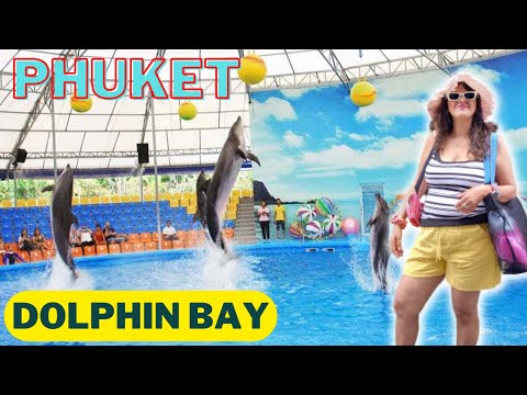 Dolphin Bay Show | Phuket | Thailand | Travel Senorita