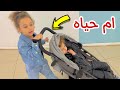 الاميرة فيروز ام لبيبي حياه شوف عملت اية لما شافت حمام السباحة