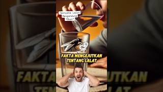 Fakta mengejutkan tentang lalat di dalam hadist#kisahislami #fypyoutube #shortsvideo #fypシ゚ #shorts