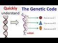 Decoding Genetic Information Through DNA and RNA