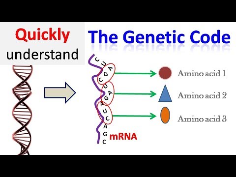 Genetic code