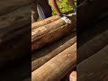 (9) 森で最悪なエリアを、最高の場所に開拓！　山小屋の組み立て開始！(灼熱の暑さと雨に打たれながら進める)
