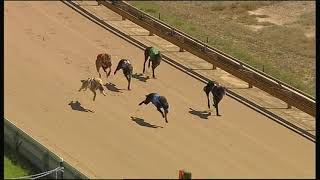 BEN WED 27 FEB 19 R4