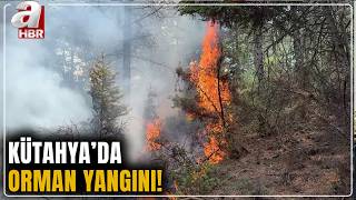 Kütahyada Orman Yangını A Haber