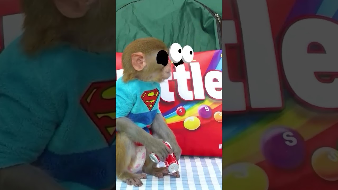 Monkey Baby Shark | Nursery Rhymes & Kids Songs |Bobby Kids Songs 