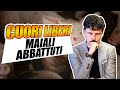 L'abbattimento dei maiali malati nel rifugio Cuori Liberi