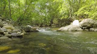 Mountain River Flowing Sound. Relaxing Nature Sounds