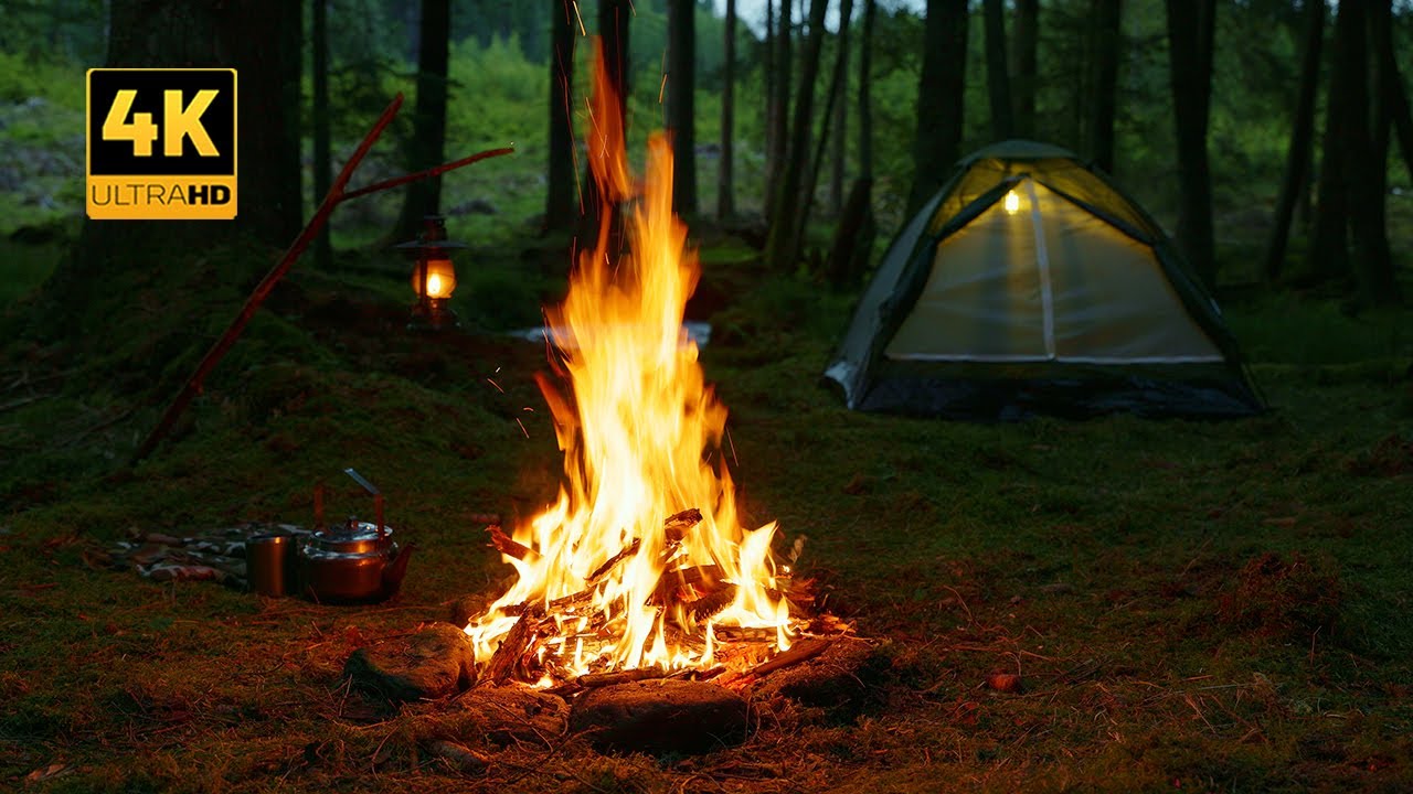 4K 📺 Это настоящий костер Bushcraft после заката🔥100% аутентичные звуки