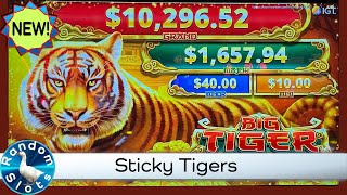 Big Tiger Slot Machine Bonus