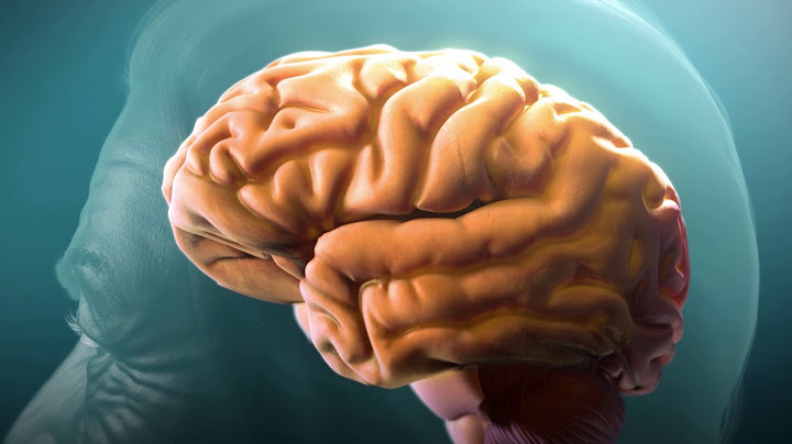 (France) Comprendre la maladie d’Alzheimer (Understanding Alzheimer’s Disease)