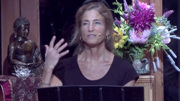 Tara Talks: Healing Shame & Blame - Tara Brach