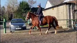 Ad ref 250167 video 2