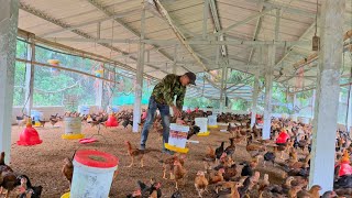 Raising chickens, growing crops, improving vegetable gardens, sowing seeds, rural life