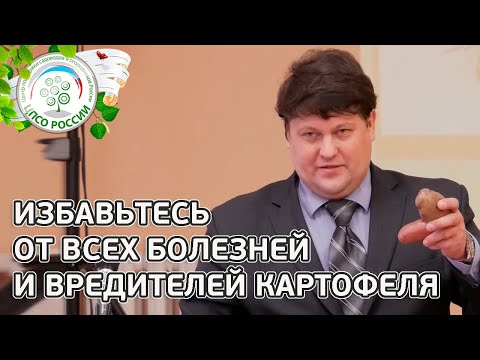 ВСЯ ПРАВДА ОБ УДОБРЕНИЯХ И ЯДАХ ДЛЯ КАРТОФЕЛЯ. Болезни и вредители картофеля.  Лекция