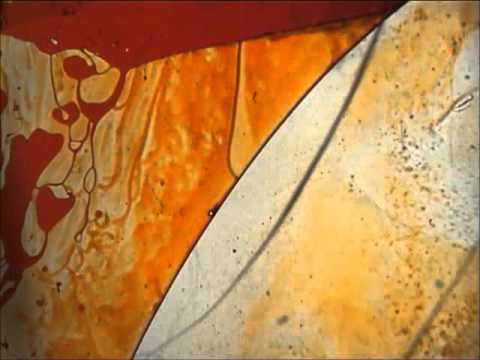 Soosh - Kelpe Remix - Snippet