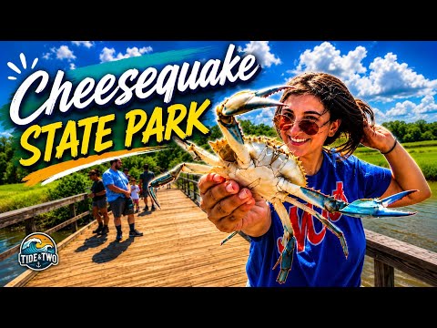 Crabbing NJ | Cheesequake (Catch & Cook) 