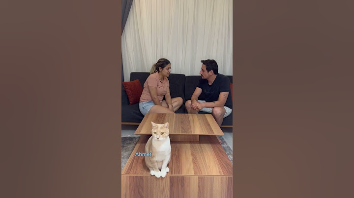 EVET HAYIR CHALLENGE #shorts #trend #youtubeshorts #challenge #game #eğlence #games #yes #no