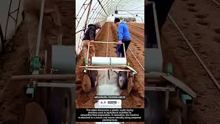 Smart Farming Efficiency: Plastic Mulch Laying Machine in Action !! #innovation #tool #ideas