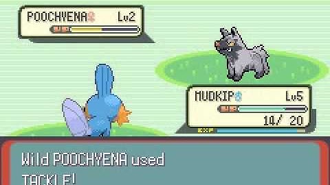 Pokemon Emerald Playthrough Part  1: Our Journey Begins!