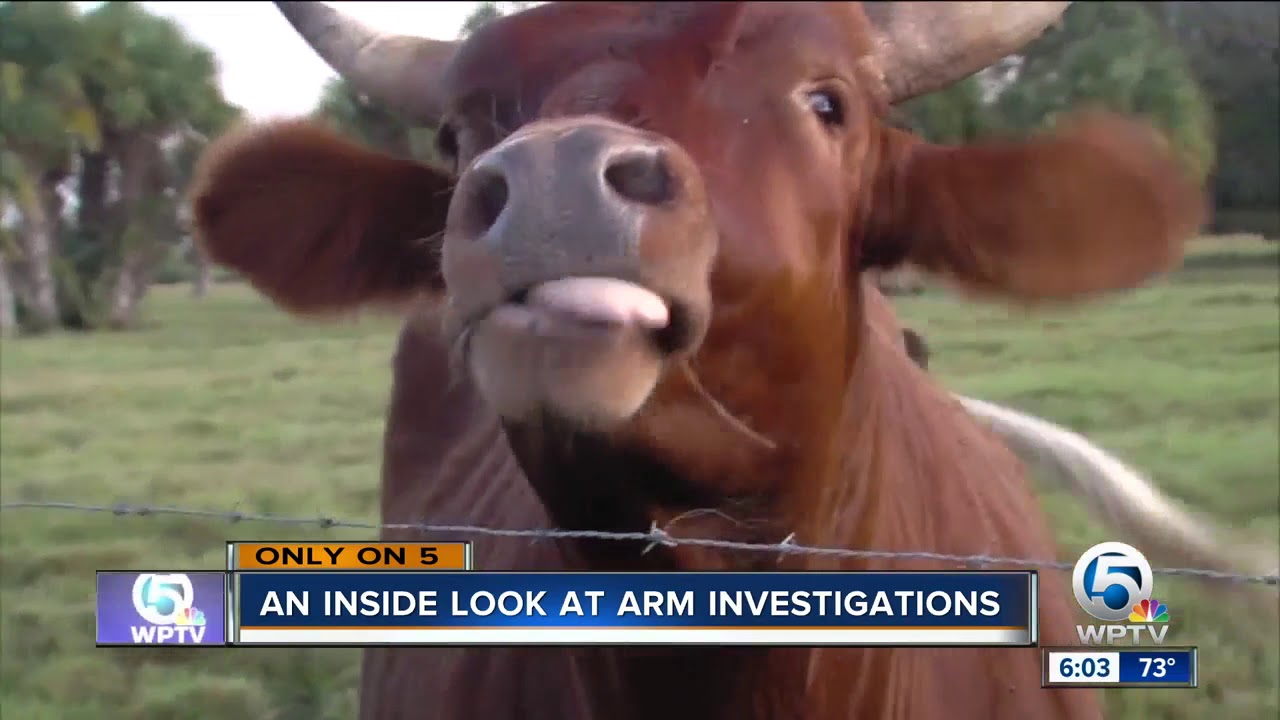 An inside look at ARM investigations YouTube