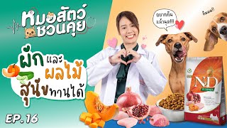 ผักและผลไม้ที่สุนัขทานได้ สุนัขทานผักผลไม้ดีจริงไหม  | หมอสัตว์ชวนคุย EP 16