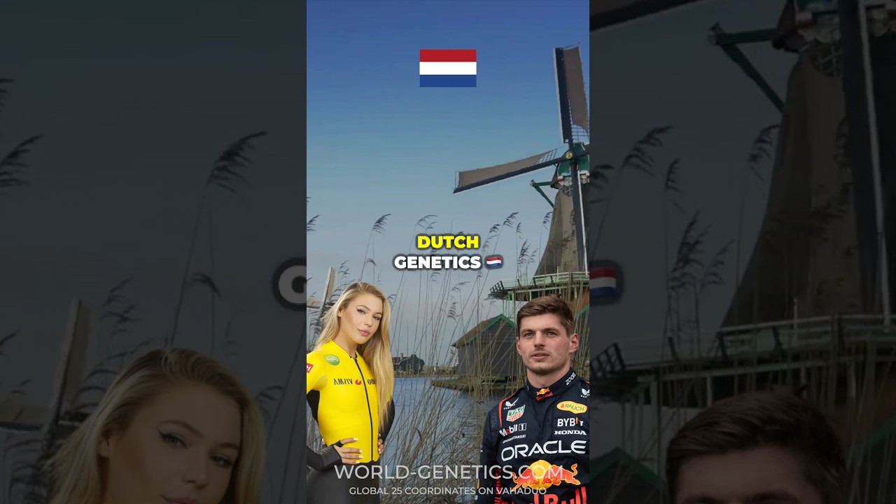 Dutch genetics 🇳🇱
