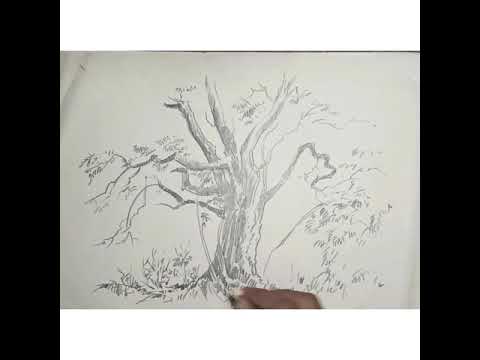  Pencil sketching tree sketching with pencil simple and easy way - YouTube