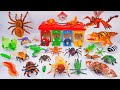 [Toy Asmr] Zuru Robo Alive: A Box Full of Reptile and Insect Toys | Satisfying Unboxing ASMR | 4K