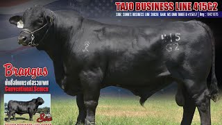 สุดยอดวัวพ่อพันธุ์แบงกัส TAJO BUSINESS LINE 415G2นำเข้าจากอเมริกา วัวเนื้อเกรดพรีเมี่ยมิไขมันแทรกสูง