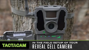 In the field setup of your Reveal Cell Camera
