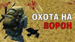 картинка: 51. Охота на Ворон. Stay Out | RU2