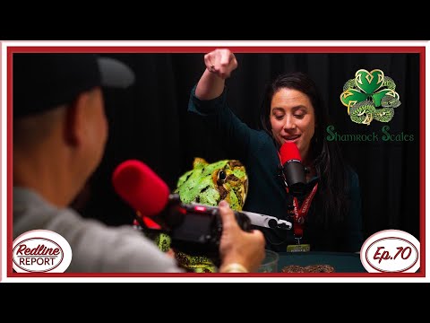 Shamrock Scales - Redline Report Ep.70