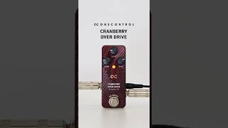 ブルースやジャズ、ハイゲインアンプのブースターにも最適 | One Control CRANBERRY OVER DRIVE | Sakamoto Natsuki #shorts