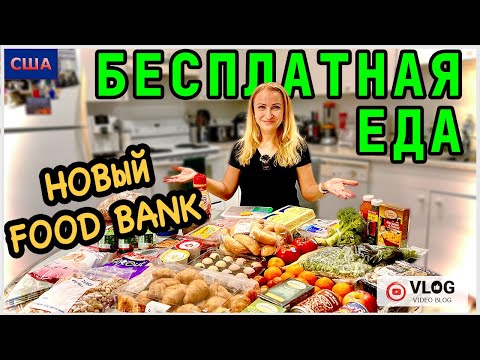 Бесплатная еда в Америке/ Новый хороший Foodbank/ Помощь семьям/ Работа волонтером/ США/ ФЛОРИДА