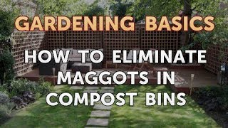 How To Eliminate Maggots in Compost Bins