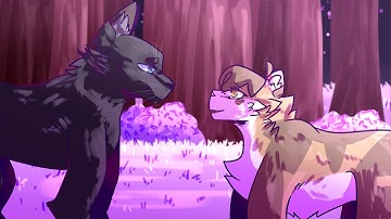 REMAKE | Paradise - Cinderpelt PMV MAP Part 25