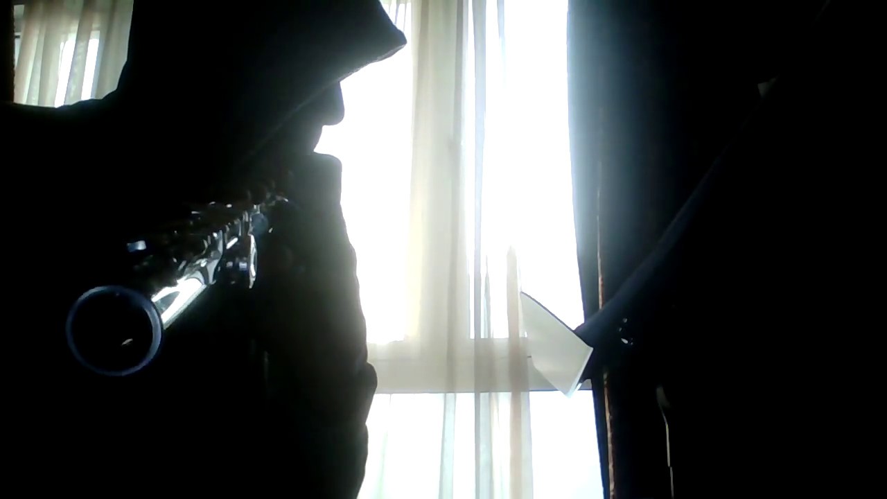 Tsumetai Heya Hitori Flute Cover (sheets in the des.)