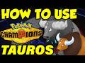 HOW TO USE TAUROS IN POKEMON CHAMPIONS! Paldea Tauros Moveset Guide | Best Tauros Builds